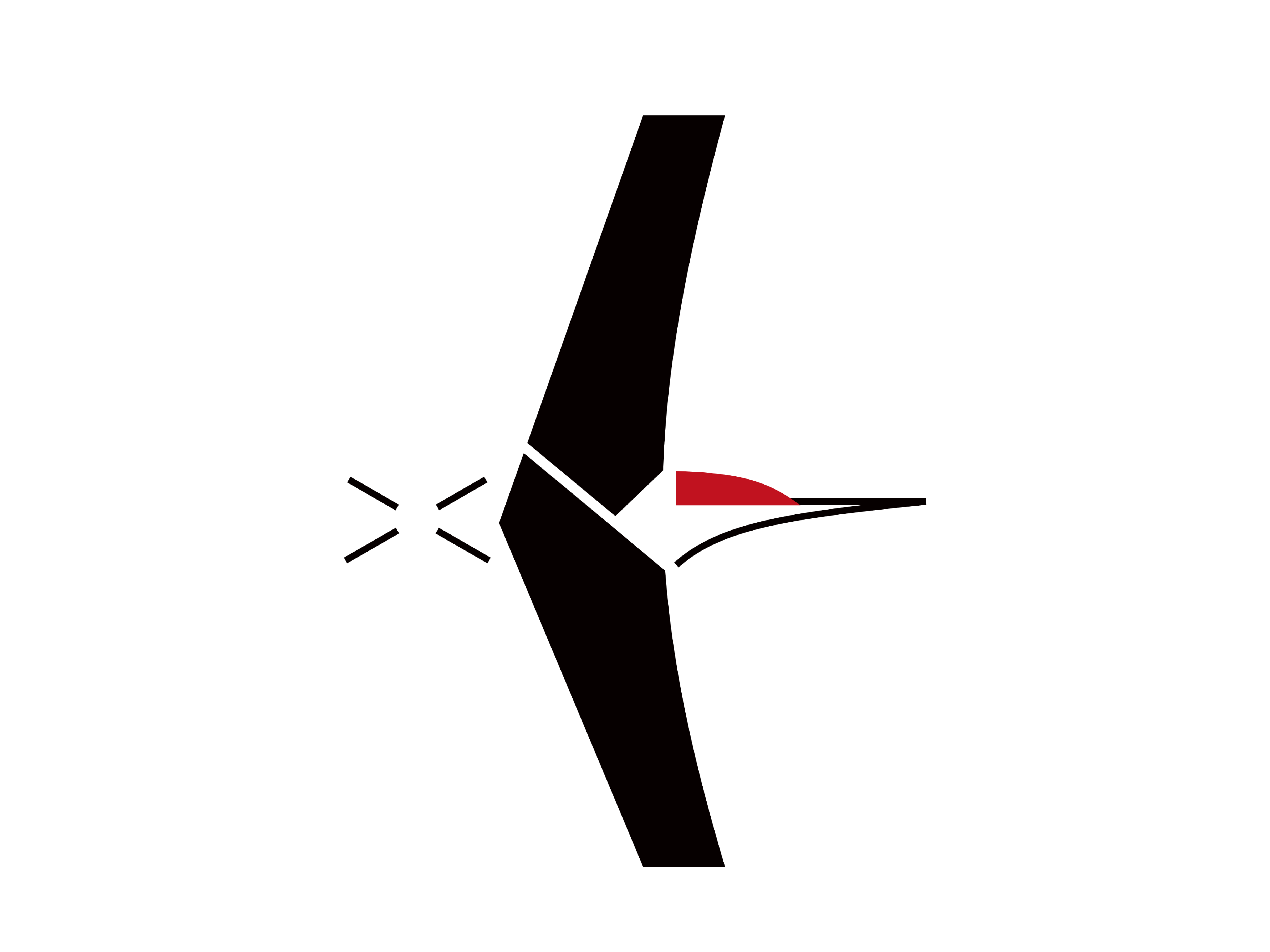Flameback Tech logo